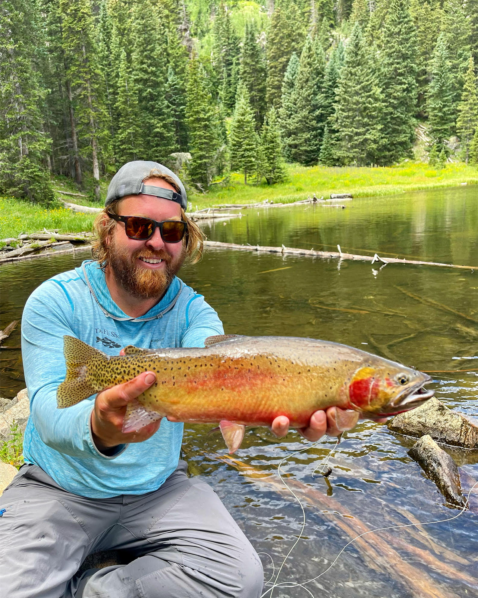 Wildlife Wednesday: Reading the Water, Finding Trout and Strategies to ...